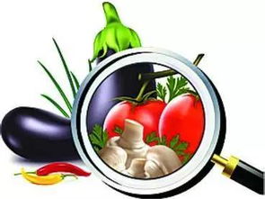 新規(guī)來了！5月1日起，平陽(yáng)這樣管路邊攤玩具