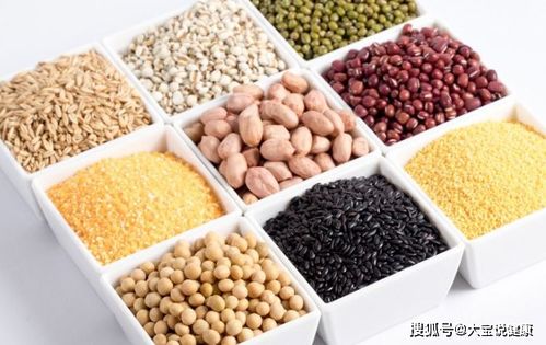 科學(xué)飲食助長壽 老年人需重點補充的3類關(guān)鍵食物