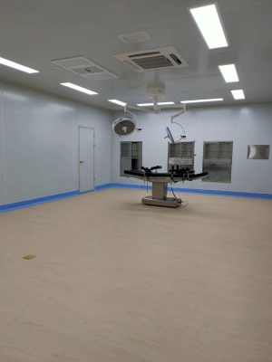 池州食品廠凈化工程的周到管理與玩具行業(yè)凈化要點