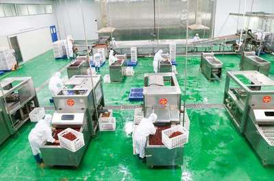 浙江名企“百草味”新疆工廠投產，助推新疆食品產業升級與區域協同發展